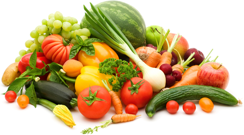 Diététique & Nutrition